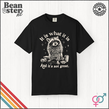 It Is What It Is And It’s Not Great Funny T-Shirt