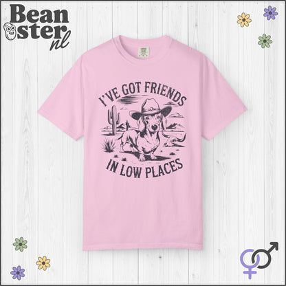 I've Got Friends In Low Places Shirt