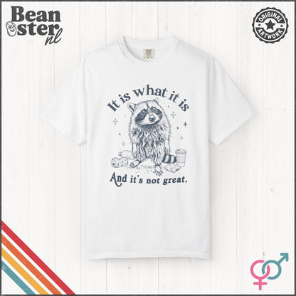 It Is What It Is And It’s Not Great Funny T-Shirt