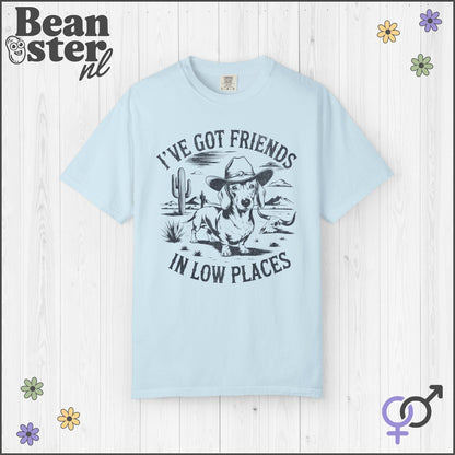 I've Got Friends In Low Places Shirt