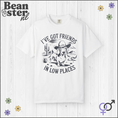 I've Got Friends In Low Places Shirt