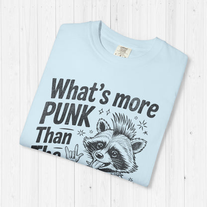 What's More Punk Than The Public Library Shirt 📚🦝