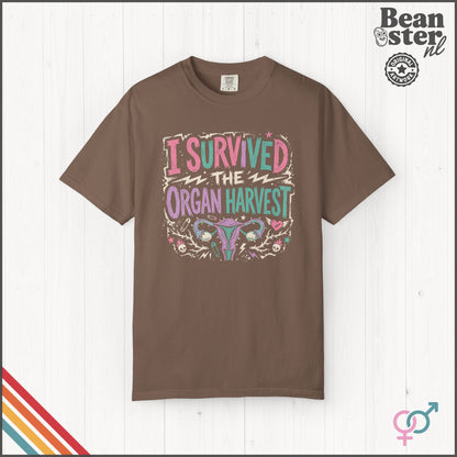 Funny Hysterectomy Shirt | I Survived the Organ Harvest Tee