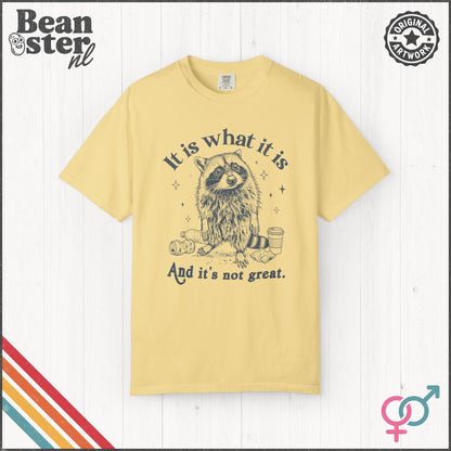 It Is What It Is And It’s Not Great Funny T-Shirt