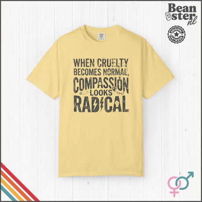 Compassion Looks Radical Protest & Activist T-Shirt