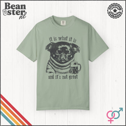 It Is What It Is & It’s Not Great Funny Brussels Griffon T-Shirt