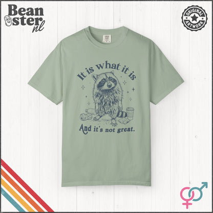 It Is What It Is And It’s Not Great Funny T-Shirt