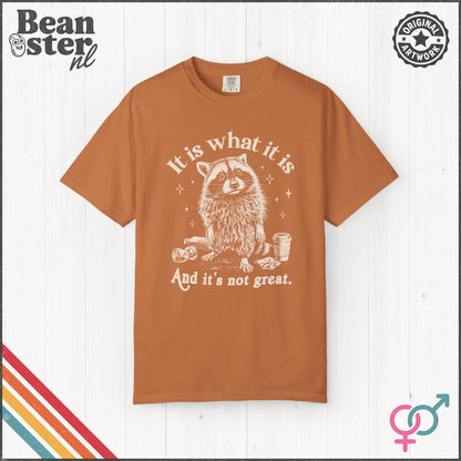 It Is What It Is And It’s Not Great Funny T-Shirt