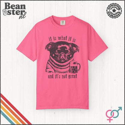 It Is What It Is & It’s Not Great Funny Brussels Griffon T-Shirt