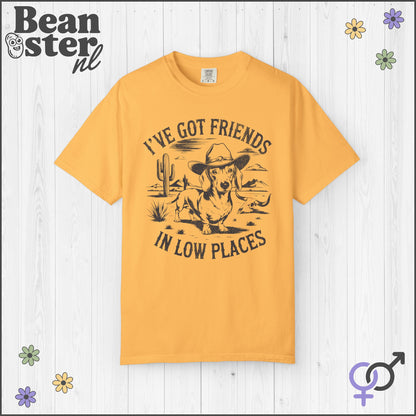 I've Got Friends In Low Places Shirt