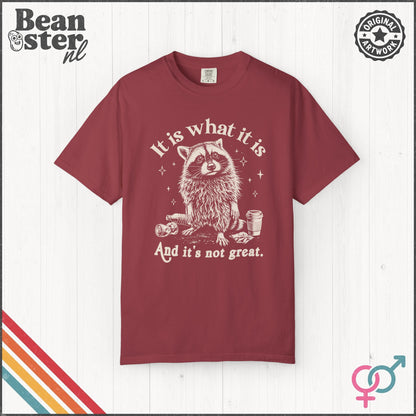 It Is What It Is And It’s Not Great Funny T-Shirt
