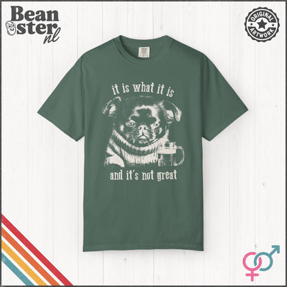It Is What It Is & It’s Not Great Funny Brussels Griffon T-Shirt