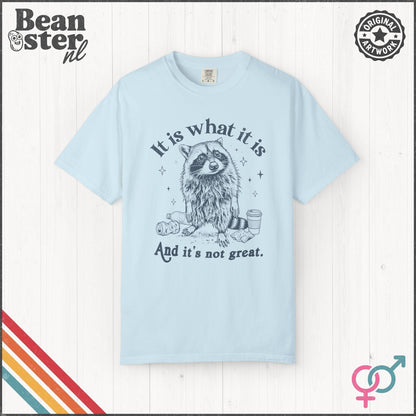 It Is What It Is And It’s Not Great Funny T-Shirt