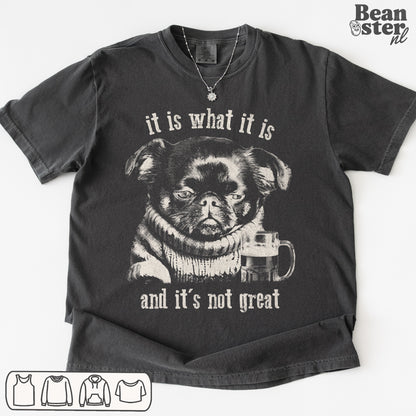Funny “It Is What It Is and It’s Not Great” sarcastic graphic t-shirt