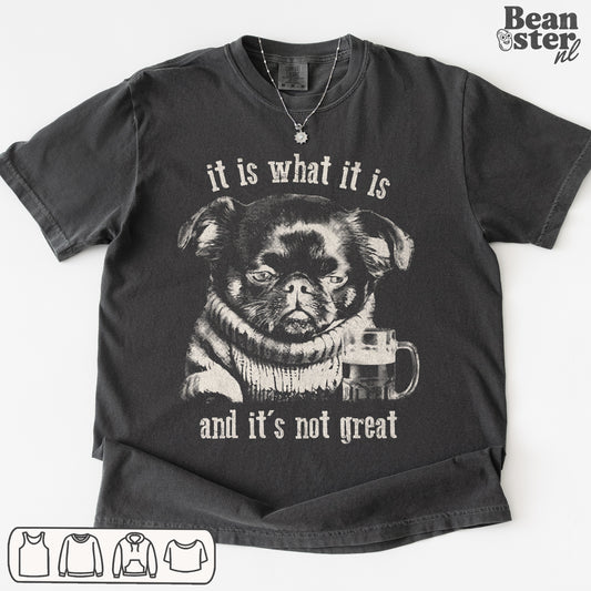 Funny “It Is What It Is and It’s Not Great” sarcastic graphic t-shirt